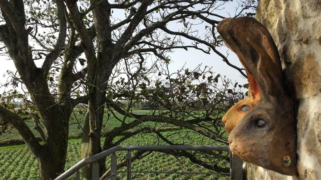 La Grange Aux Lievres, Gites Kerdoel Cléder Zewnętrze zdjęcie